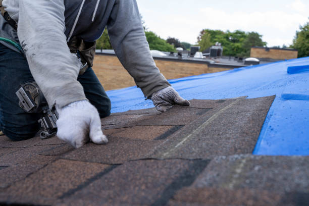 Best Metal Roofing Contractor  in Williamsburg, OH
