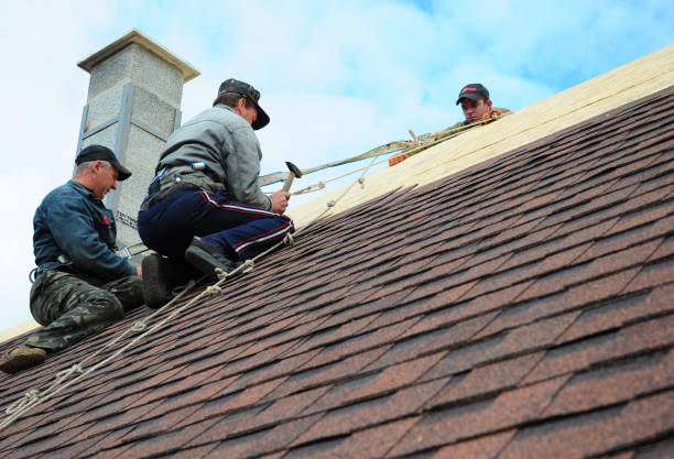 Best Flat Roof Repair Services  in Williamsburg, OH