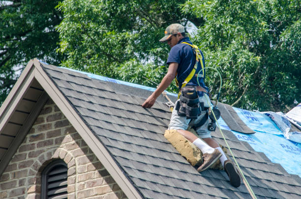 Best Roof Gutter Cleaning  in Williamsburg, OH